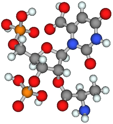 仮想的なヌクレオチド類縁化合物