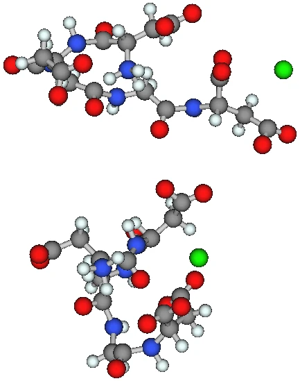 ペプチドとマグネシウムイオンの相互作用モデル